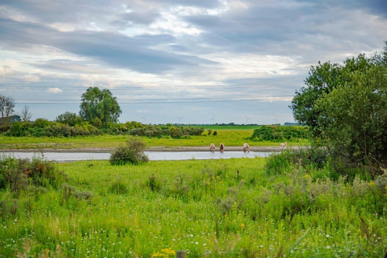 Lavender Lodge Achthuizen Экстерьер фото